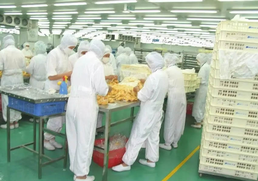 食用菌潔凈廠房價格